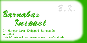 barnabas knippel business card