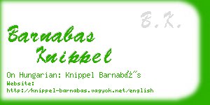 barnabas knippel business card